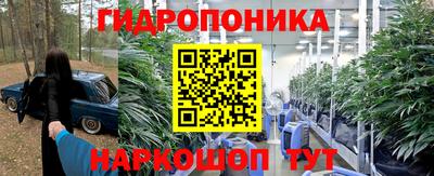 стаф Ирбит
