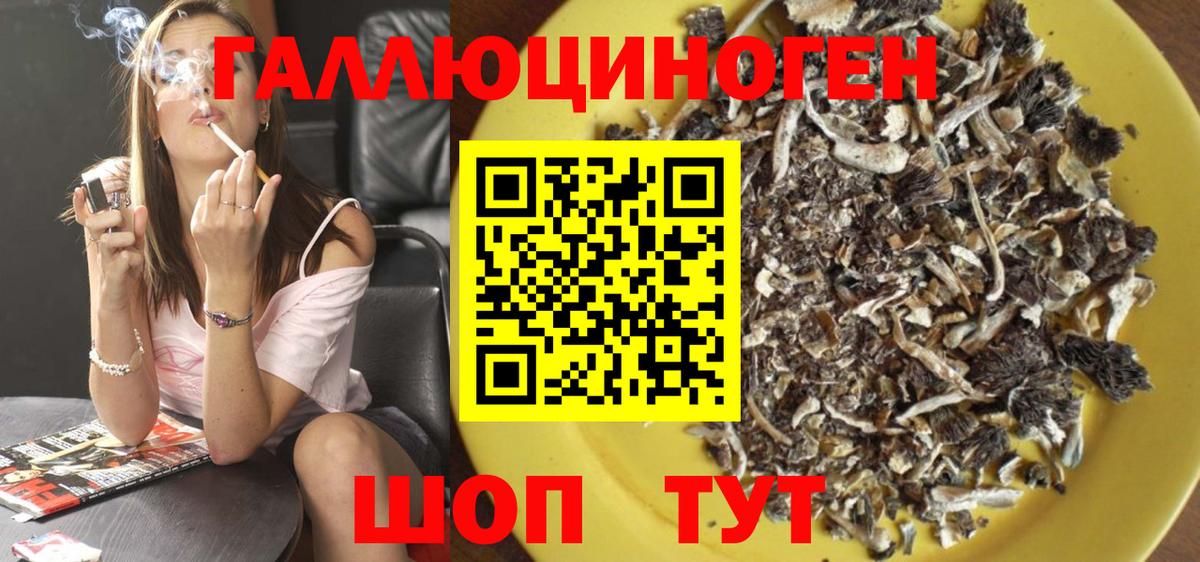 Ливны  купить   Вход с VPN  Псилоцибиновые грибы GOLDEN TEACHER 
