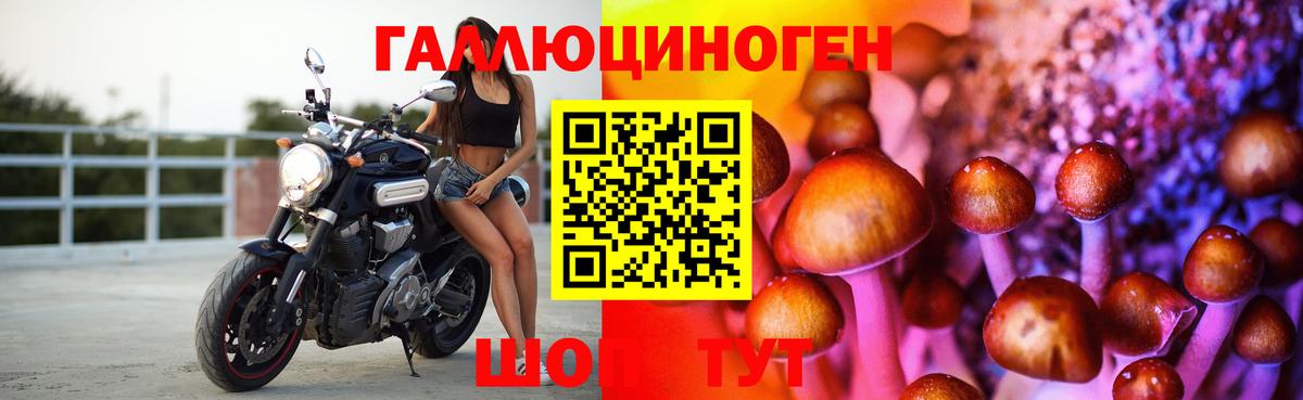 Галлюциногенные грибы Psilocybe Ливны